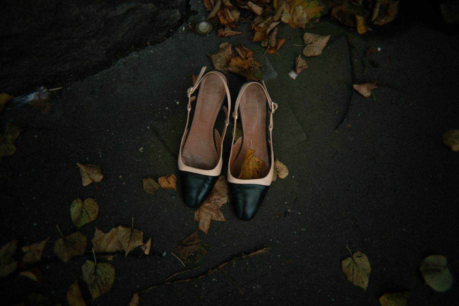 Two-tone slingbacks on a leaf-covered pavement, an editorial frame from our own shoot